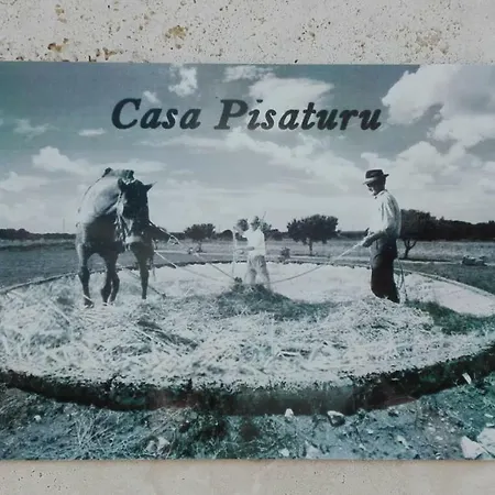 Casa Pisaturu